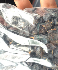 ŷ�����ѸɳԳ����������������ʳ�ã�