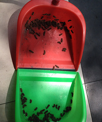 ���𱬡��巼ի���ϵ����ֳ�����