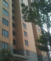 ������Էһ����11¥���µ�������