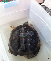 ץ�˸���һ��������ꡣ��ô���������䣿