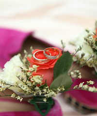 ����˹�������ռǡ����ǵĹ���δ�����