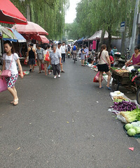 ���ǲ˳�������·��