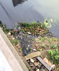 ���йز����ܽ��е��飨�ŷ���ˮ��Ӱ����̬������