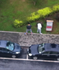 ���˵Ĳ�������Ϊ����������