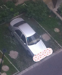 ����ͣ���������