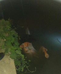 ��Դ���и�������һ������������