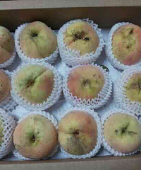 �ӵ��ļ���ĳ����̨�Ź�ˮ����