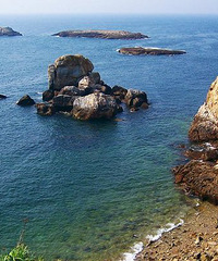 ��ȥ�������򣿼����ܱ߾��г�����������