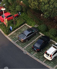 ʲô���ʣ�������԰�Ŀ�����