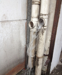 ��Щ���Ӷ�����͵����