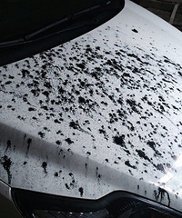 �ڴ�ί�Ǳ�����ͣ������Сʱ��Ҳû����˭�����ͳ�������