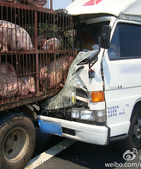 ��Ů��"����һ��"����΢�ż������ѣ�С���ڸ����ϴ�����