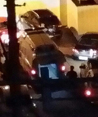 ����������Ѫ����