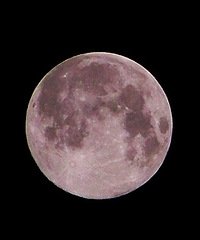 ſ����̨��Сʱ����Ϊ���¡�����������