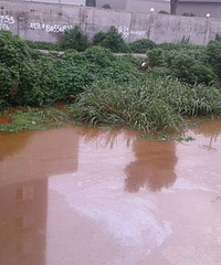 ��Ⱦ��ҵʱ��3������͵����