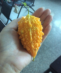 Сʱ��Ļ��䡪��������