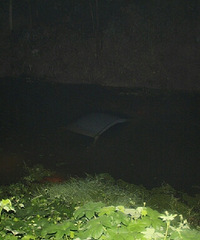 ������Ӿ�ˣ�