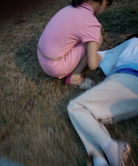 С������¸�·���ε���������