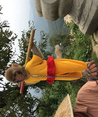 ����590�׵Ļ���ɽ��ס��һȺ�