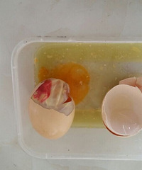 DRF���������ҵĳ�����~