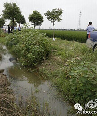 �ڳ�˾�����ⶾ��