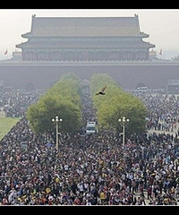 ���쳤�٣���ʮ���ط���(qian)��(wan)��(bie)��(qu)~