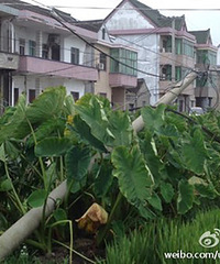 [��]Σ�գ�·������ҪС�� ������߱����ϣ�ͼ��