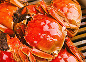 ������顿��ʳ��ǰ��������Ҫ�ɿ�ô��