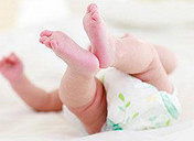 [ͶƱ]19¥�ı������������ʪ ������