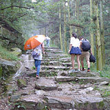 不买票也可以上庐山