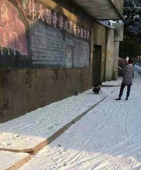 ���쳤�� ���ξֲ�ӭ����2014��ĵ�һ������ѩ��