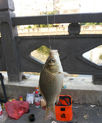 ���쳤�ٵ����죬�����˺ӽ�ⶾ��