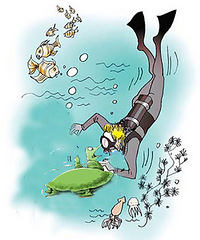 С��Ϊ͵��ֻ���� ��רҵǱˮ����������