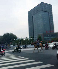 ������·���ж�����ʿ