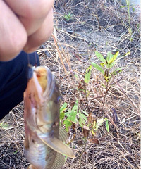 �����ȥǮ������������ ���гɹ� ��һ�ε���Ŷ