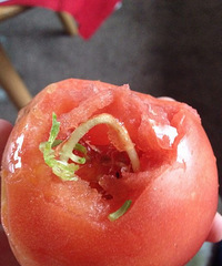 ����ţ��ҵķ������泤��һ�Ŷ�ѿ����ͼ�����ࣩ