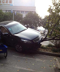 ���������ų���������ƿ��������ײ�ò��ᰡ��ͼ��