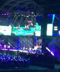 �ݳ����ֳ�