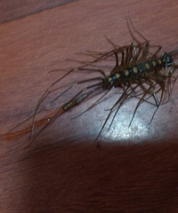 �ֲ��ĳ��ӣ�����С������