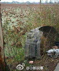 ������һź���ڷ�����ʬ ����������˾��ײ�˺�����