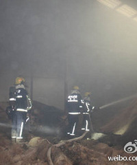 ������˫��һ��ľ�۳��ֿ�ͻȻ���