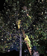 �������������ްԡ������� ������ժ������