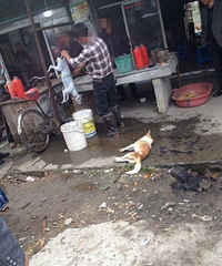 �����Ρ������Ÿ��������ڽ�ͷ������ɱ��������