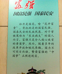 ����䷢�ֶ�ԺסԺ�����ݼ������������ϵĴ�����