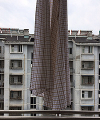 ��Ʒ�ھӴ����