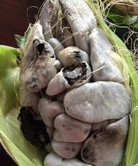 û���������ߵ������� ����������������ʲô��