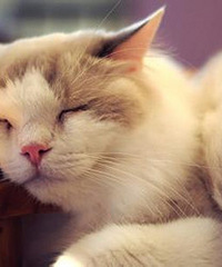 ��Ϊһö���˵������� ɹɹ�ҵĹ�����г̱�