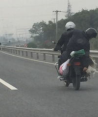 �����ϱ������ ʵ�Ĳ����׹����̣�ͼ��