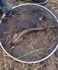 ��Ī������ĵ������� ��֪����ʲô ֪����˵��