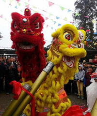 ���������ѵ�һ�����²�������   �ų���ţ����